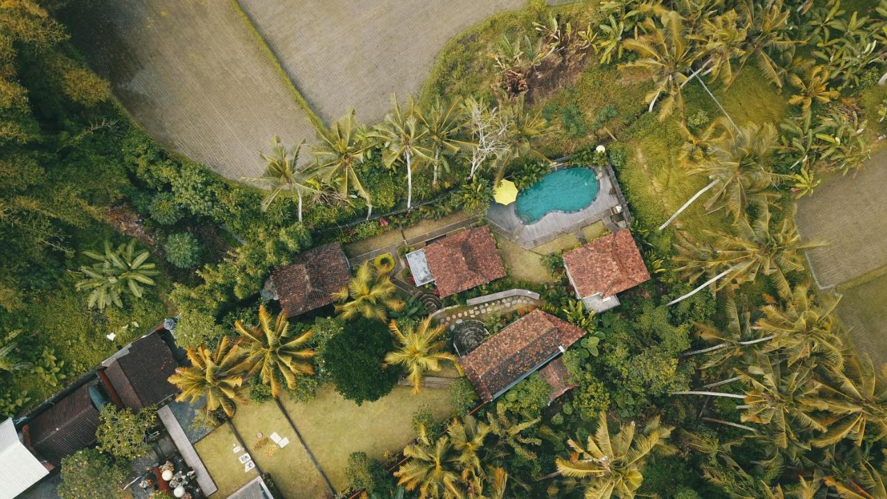 Puri Sundaram Villa Ουμπούντ Εξωτερικό φωτογραφία